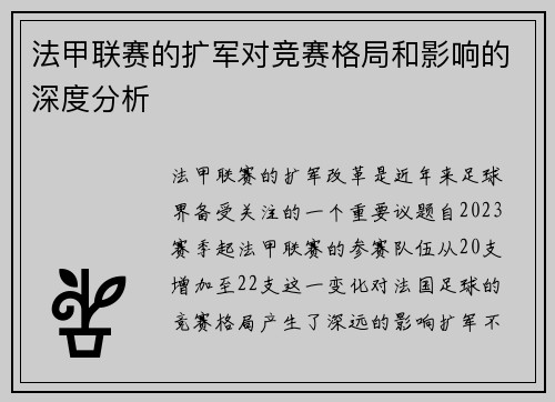 法甲联赛的扩军对竞赛格局和影响的深度分析